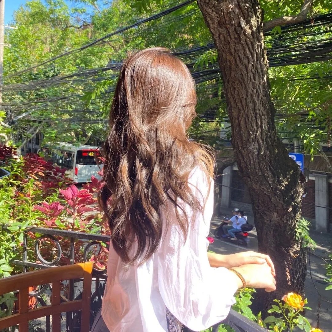 小菊的春天